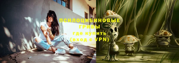 спиды Аркадак