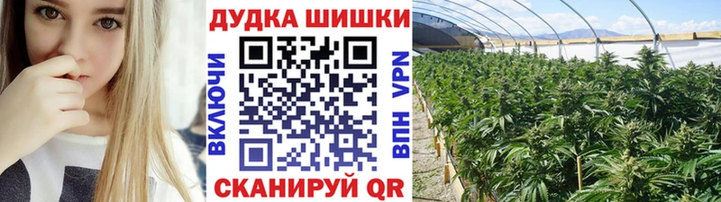 площадка официальный сайт Похвистнево Шишки марихуана план сколько стоит